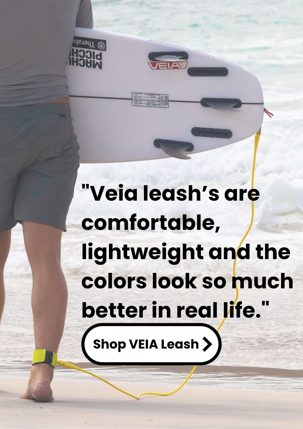 Veia leash hp portrait ad like 2
