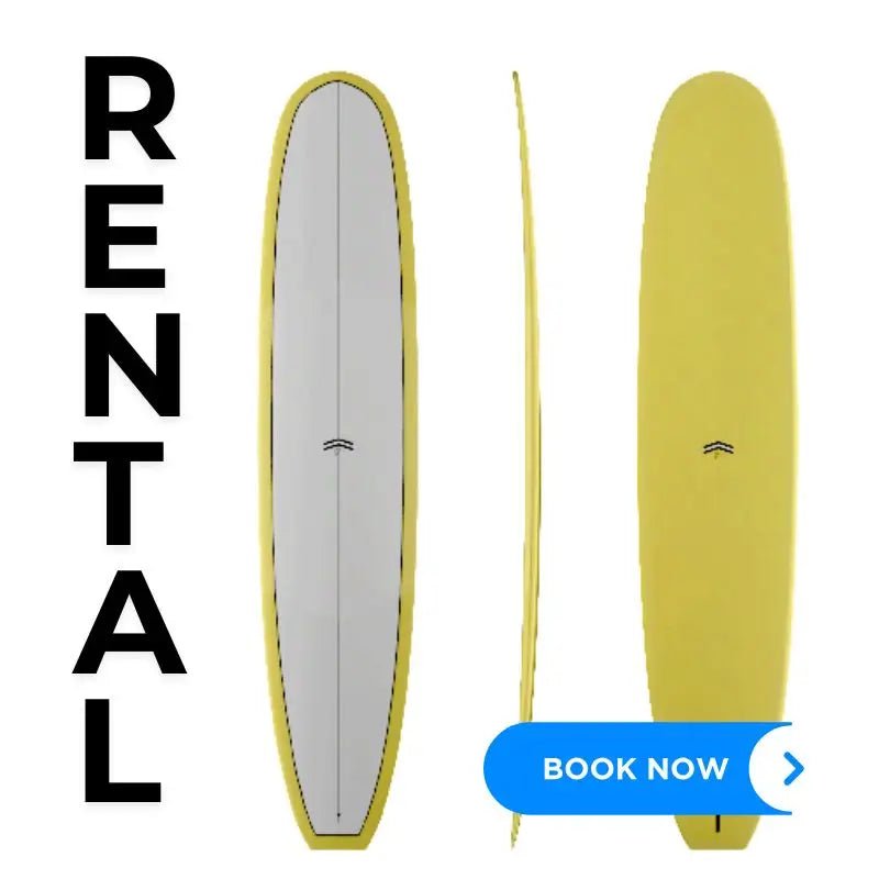 Longboard RENTAL CJ SPROUT 9'6" X 23 1/2 X 3 V78 - Must - Have for Surfers