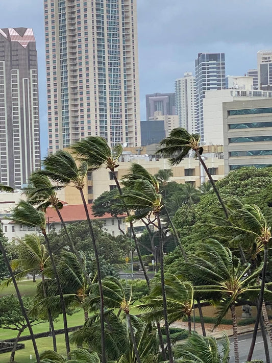 🌀ハワイの日曜日の朝　雨降ってないが強風　人生で1番かも🌀 - Hawaiian South Shore