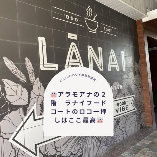 🐮アラモアナの２階　ラナイフードコートのロコ一押しはここ最高🐮 - Hawaiian South Shore