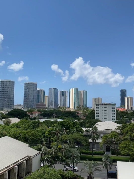 🌀またハリケーンが来てる　しかも2個　　ハズレて下さい🌀 - Hawaiian South Shore