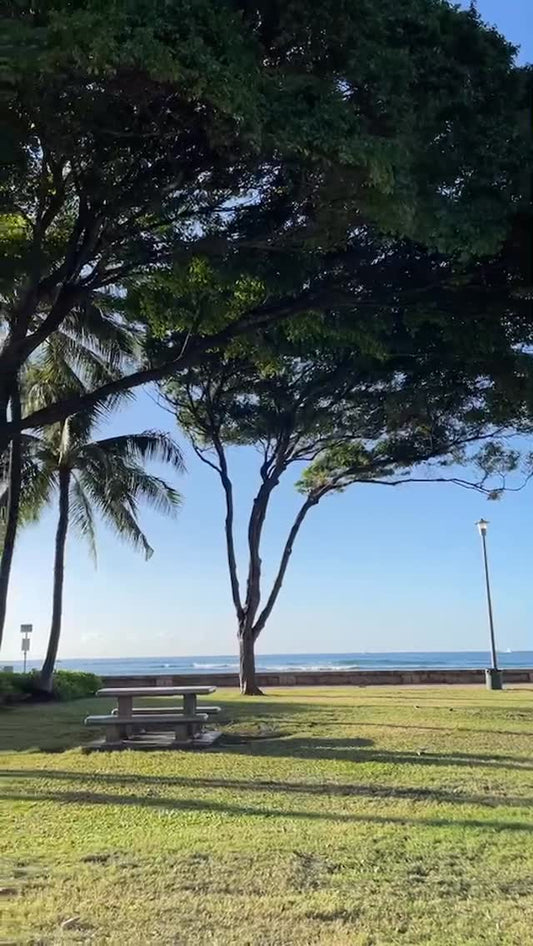 🩵 晴れてますが少しガスってる今朝のハワイ｜海から山まで360度 🩵 - Hawaiian South Shore