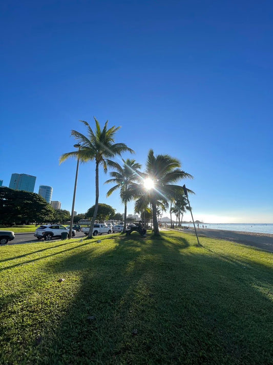 🌴綺麗な青空と光り輝いてる太陽🌴