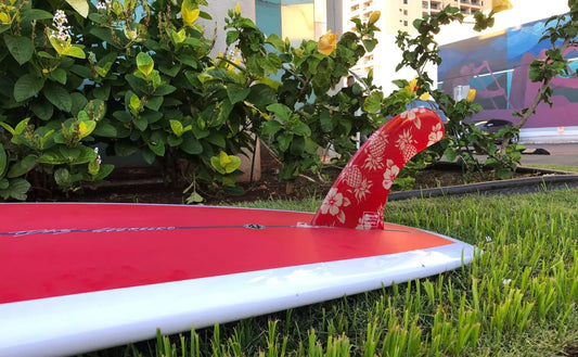 A Visit to Bahne & Company/Fins Unlimited - Hawaiian South Shore