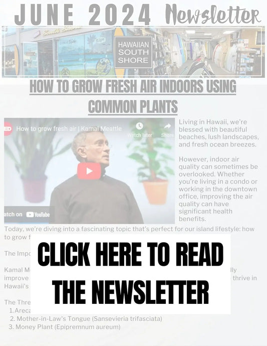 Hawaiian South Shore June 2024 Newsletter - Hawaiian South Shore