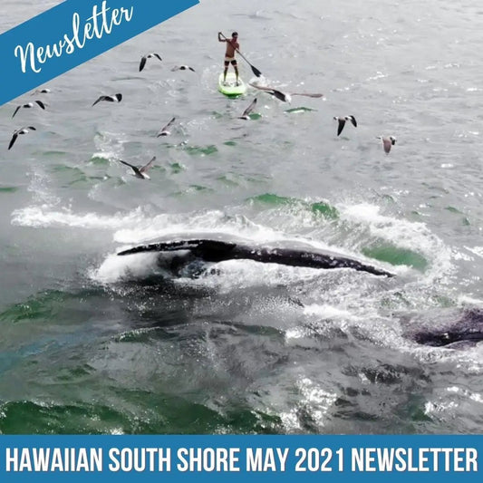 Hawaiian South Shore May 2021 Newsletter - Hawaiian South Shore