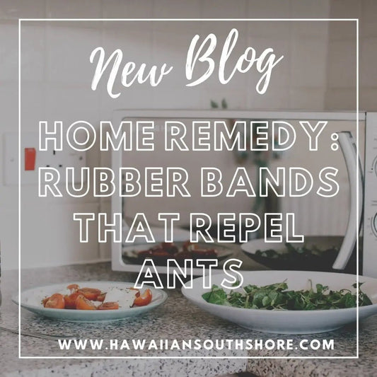 Home Remedy: Rubber Bands That Repel Ants - Hawaiian South Shore