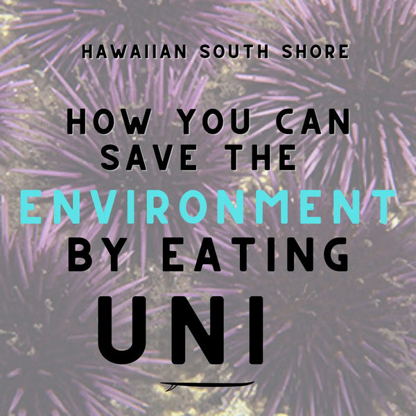 How You Can Save the Environment by Eating Uni