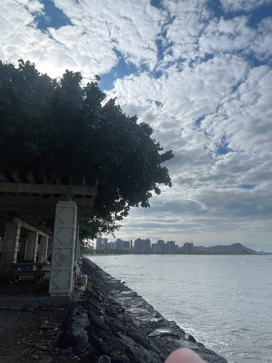 🌊良い波がサウスに入って来てます　波の音も聞いて下さいね🌊 - Hawaiian South Shore