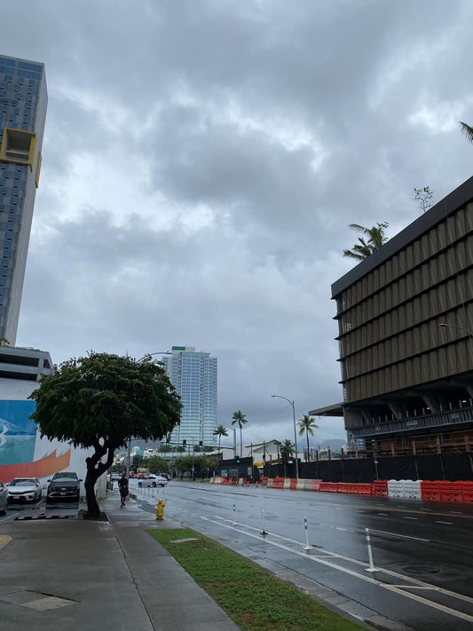 ⚡️ずーっと雨　いよいよ雷も鳴り始めた　常夏のハワイは何処いった⚡️ - Hawaiian South Shore