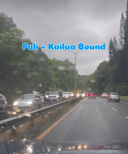 ⚡️昨日の天気　大雨　雷　洪水　突然やってきた　が　良かった今日晴れ⚡️ - Hawaiian South Shore