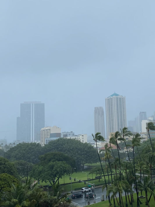 ☔️やっぱり大嵐が来た　今日から風も強い☔️😱 - Hawaiian South Shore