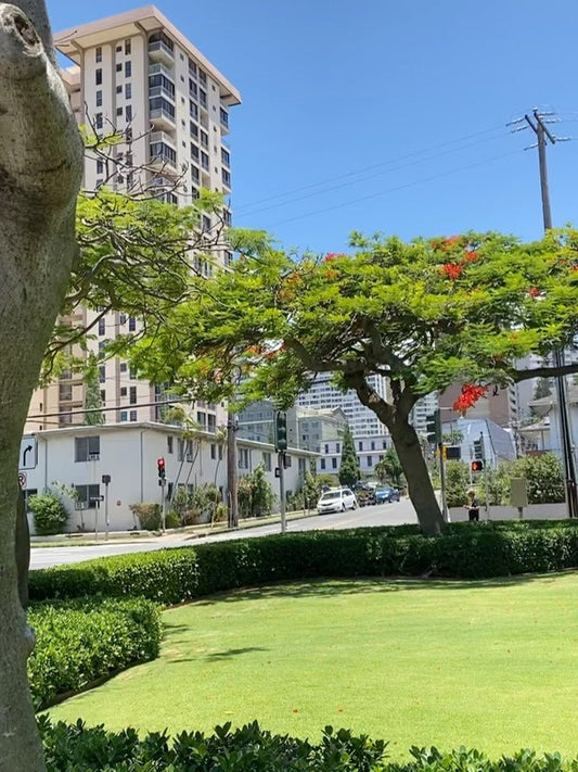 🩵今日も良いお天気のハワイ　風がちょっと強いけど　気持ち良い🩵 - Hawaiian South Shore