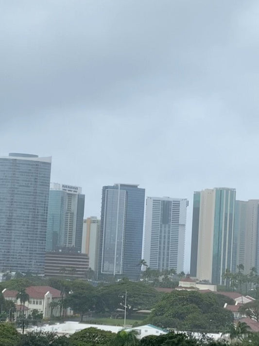 ☔️いよいよ　こなくても良いのにやって来た　コナストーム☔️ - Hawaiian South Shore