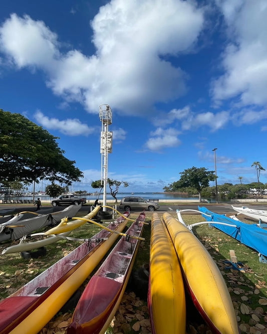 🏖️アラモアナビーチのそれぞれの朝　釣り人　ジョギング　スイマー🏖️ 🛶 - Hawaiian South Shore