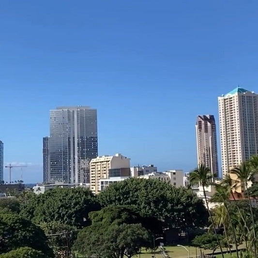 🩵晴れました〜　鳥たちも合唱してますクリスマスソングを🩵 - Hawaiian South Shore
