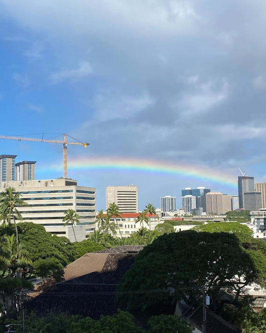 🌈ハワイの朝　大きな虹と椰子の木カットのおっちゃんのコラボ🌈 🌴 - Hawaiian South Shore