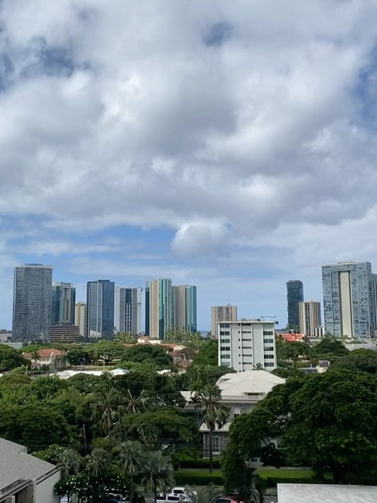 🇺🇸ハワイアン達のイベント🇺🇸 - Hawaiian South Shore