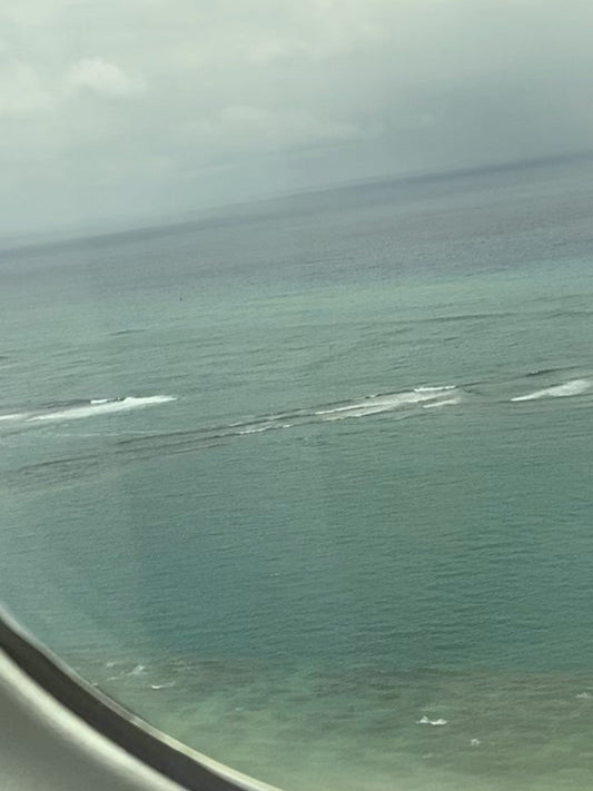 ✈️ハワイ〜日本　関空へ飛びました✈️ - Hawaiian South Shore