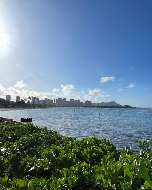☔️ハワイの朝夕毎日こんな感じの雨☔ 🥲 - Hawaiian South Shore