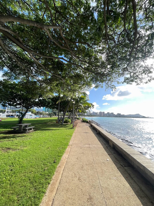 🩵ハワイのクリスマスの朝　お天気です🩵 - Hawaiian South Shore