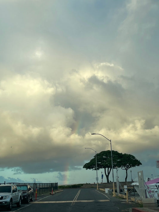 🌈珍しい　真っ直ぐ伸びた虹🌈 - Hawaiian South Shore