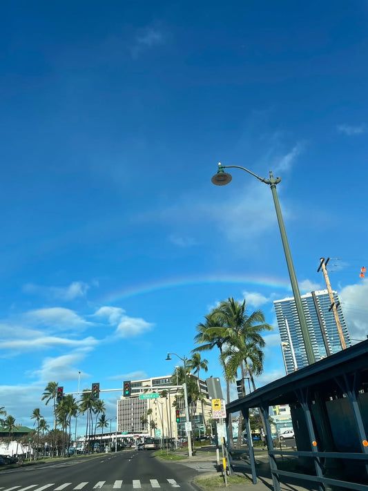 ㊗️ハワイの元旦　ダブルレインボー　ラッキーな年になります㊗️ - Hawaiian South Shore
