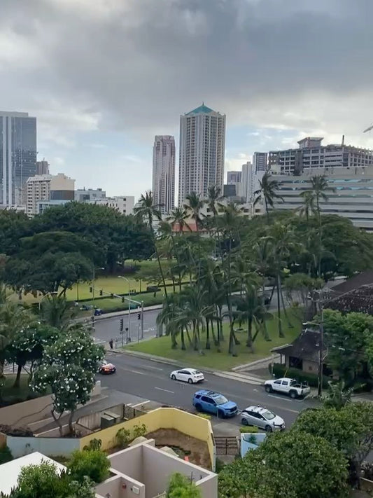🎸隣りの美術館から聞こえる生演奏　パーティに出てる気分になった🎸 - Hawaiian South Shore