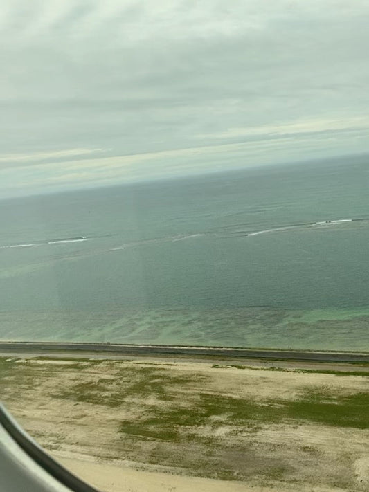 ✈️ハワイの上空〜日本の関西上空✈️ - Hawaiian South Shore