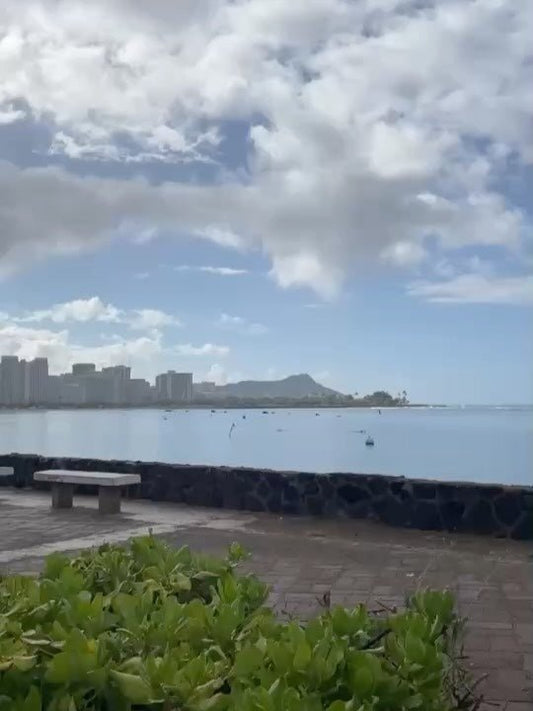 🏄‍♀️ハワイと言えばサーフィン　今年はサウスに良い波入ってます🏄‍♀️ - Hawaiian South Shore