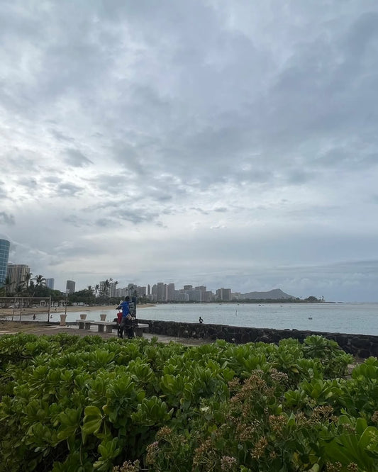 🌋緊急速報　火山灰ヴォグ発生中🌋　 ⚠️ - Hawaiian South Shore