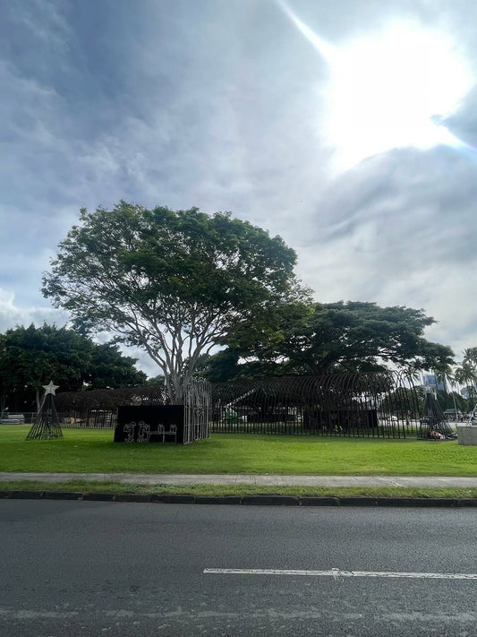 早い　もうクリスマスのディスプレイが始まりました　今年はうちの前のパークでも