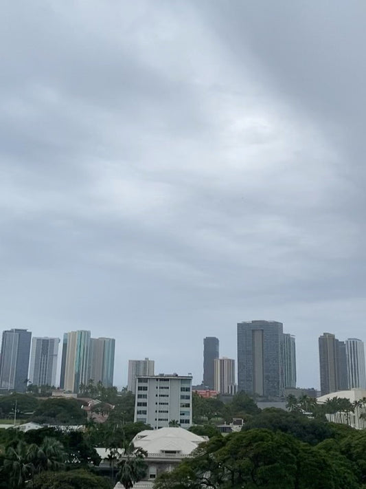 😱アラモアナのフードコート　座るとこ無いから立って食べてる😱🍔 - Hawaiian South Shore