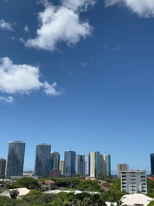 💙ハワイからおはようございます　入国最新情報お知らせします💙 - Hawaiian South Shore