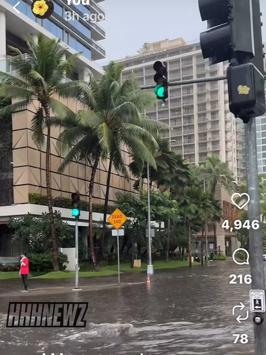 ☔️昨日は大雨洪水警報がでました　今日は降ってら無いけど空はグレイ☔️