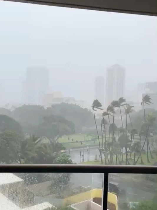 🌀昨日の夜中は凄かった　雨より風が強いハリケーン　ワイキキは停電🌀 - Hawaiian South Shore