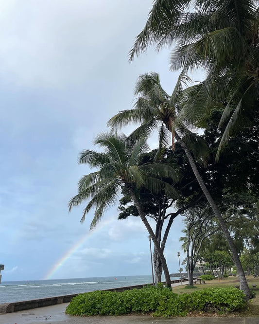 🌈ハワイの朝　海にかかる虹　良い事が起きる予兆🌈 ✌️ - Hawaiian South Shore