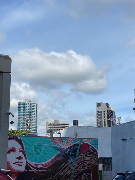 🌺良かった　晴れました　ハワイ🌺 - Hawaiian South Shore