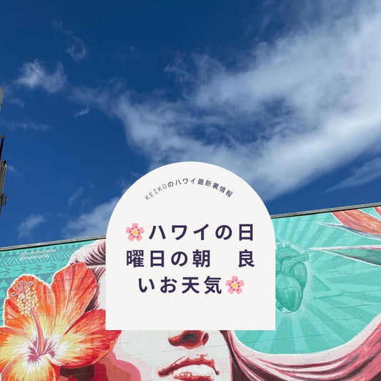 🌸ハワイの日曜日の朝　良いお天気🌸 - Hawaiian South Shore