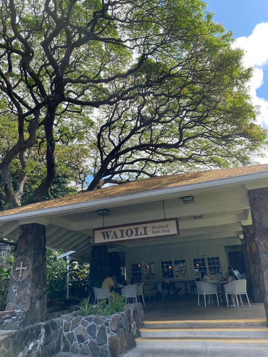 💚久しぶりに来たけど　やっぱり癒されるカフェ　森林浴💚 - Hawaiian South Shore