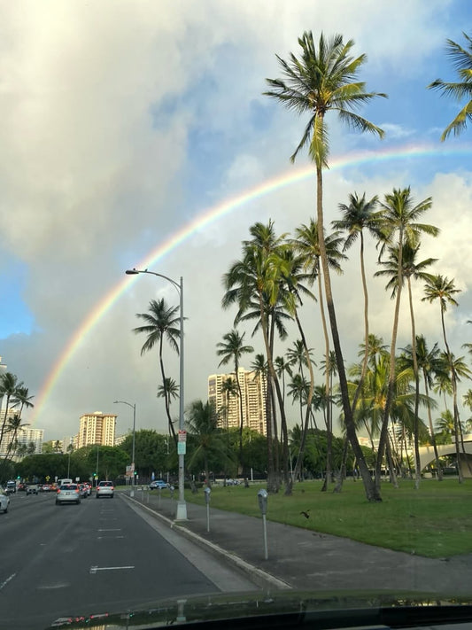 爽やかな朝　やっぱりハワイは癒される