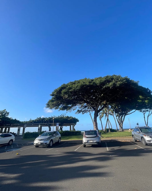 ☀️晴れましたー　天気予報ハズレて良かった☀️ - Hawaiian South Shore