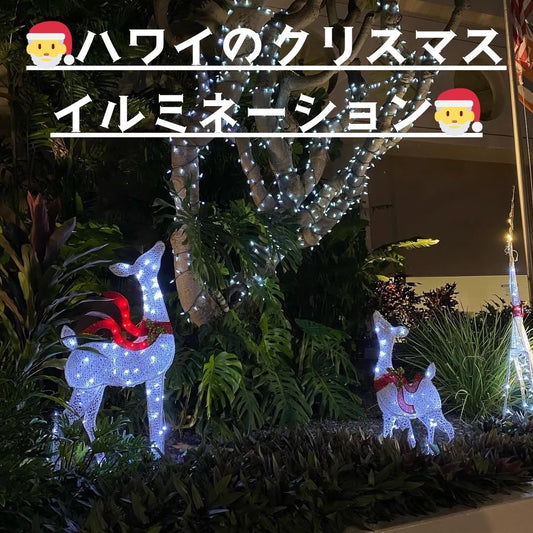 🎅ハワイのクリスマスイルミネーション🎅 - Hawaiian South Shore