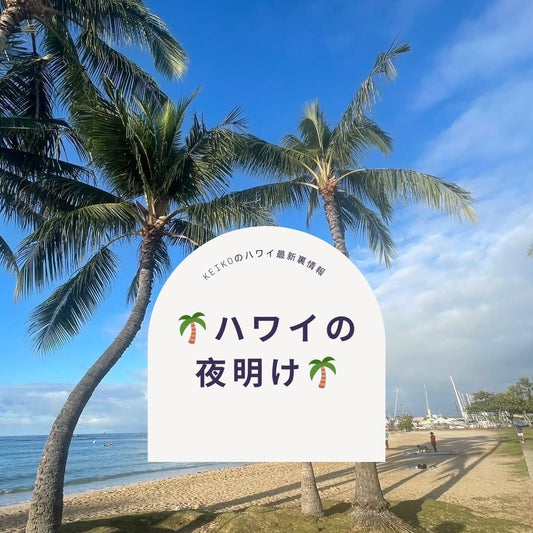 🌴ハワイの夜明け🌴 - Hawaiian South Shore