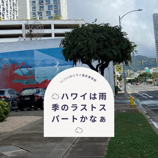 ☁️ハワイは雨季のラストスパートかなぁ☁️ - Hawaiian South Shore