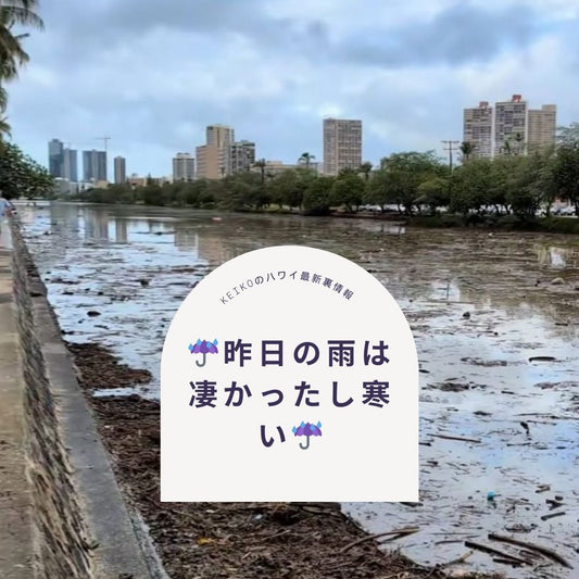 ☔️昨日の雨は凄かったし寒い☔️ - Hawaiian South Shore