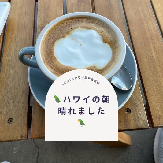 🦜ハワイの朝　晴れました　🦜 - Hawaiian South Shore