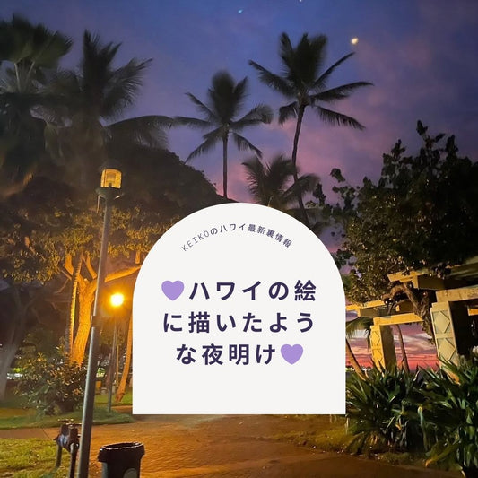 💜ハワイの絵に描いたような夜明け💜 - Hawaiian South Shore