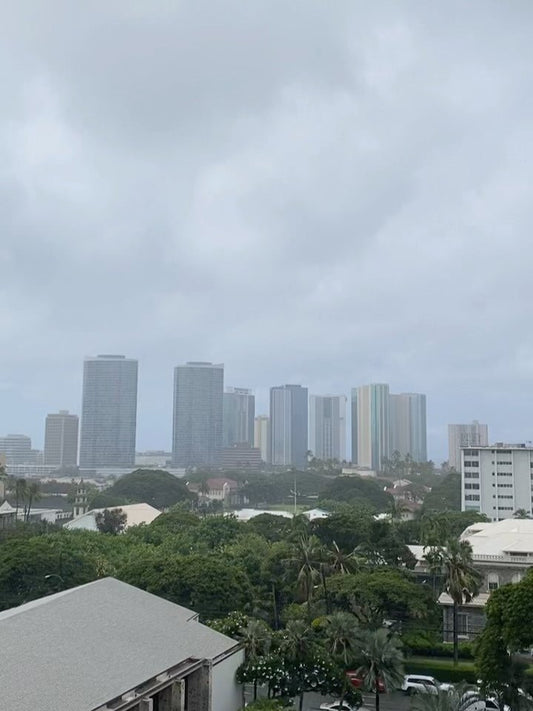 🌀ハズレる事なくやって来た　ハリケーンLaLa　名前は可愛いが　かなり大型🌀 - Hawaiian South Shore