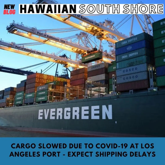 (MARCH 2021 NEWSLETTER) Cargo Slowed Due to COVID-19 at Los Angeles Port - Expect Shipping Delays - Hawaiian South Shore